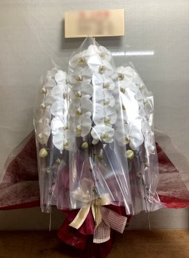 昇格!お祝い 昇格!お祝い