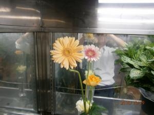 ガーベラ｜「松庄花壇」　（茨城県土浦市の花キューピット加盟店 花屋）のブログ