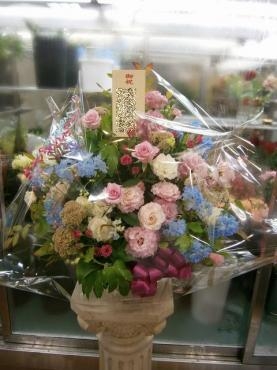 御祝　　おめでとうございます！｜「松庄花壇」　（茨城県土浦市の花キューピット加盟店 花屋）のブログ