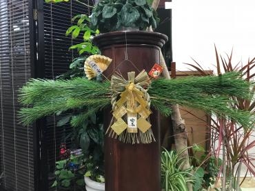 素敵なクリスマスになりますように！｜「松庄花壇」　（茨城県土浦市の花キューピット加盟店 花屋）のブログ