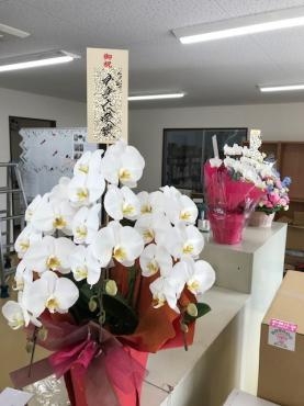 新規事務所開設　お祝い　！｜「松庄花壇」　（茨城県土浦市の花キューピット加盟店 花屋）のブログ