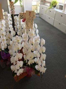 就任御祝　！｜「松庄花壇」　（茨城県土浦市の花キューピット加盟店 花屋）のブログ
