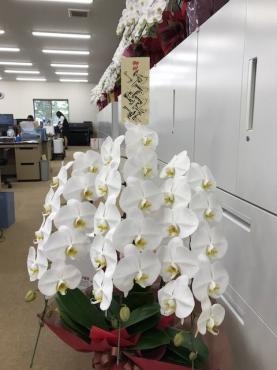 御祝　！｜「松庄花壇」　（茨城県土浦市の花キューピット加盟店 花屋）のブログ
