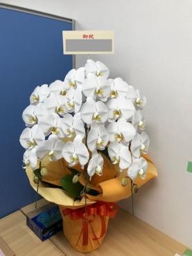 「日本へ花を贈る」「 海外へ花を贈る」　　　花キューピット　https://www.hanacupid.or.jp/foreign/｜「松庄花壇」　（茨城県土浦市の花キューピット加盟店 花屋）のブログ