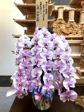 御供！胡蝶蘭｜「松庄花壇」　（茨城県土浦市の花キューピット加盟店 花屋）のブログ