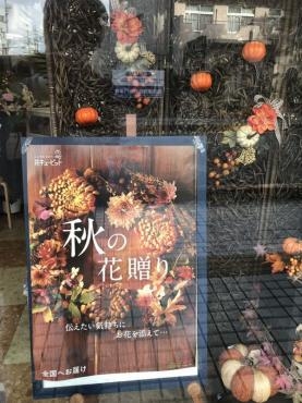 秋の花贈り！｜「松庄花壇」　（茨城県土浦市の花キューピット加盟店 花屋）のブログ