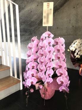 竣工御祝！・・・｜「松庄花壇」　（茨城県土浦市の花キューピット加盟店 花屋）のブログ