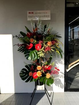 祝開店！｜「松庄花壇」　（茨城県土浦市の花キューピット加盟店 花屋）のブログ