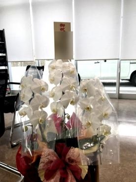 竣工御祝！｜「松庄花壇」　（茨城県土浦市の花キューピット加盟店 花屋）のブログ