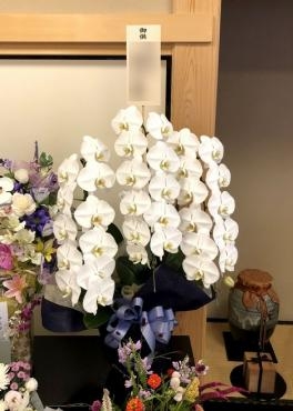御供｜「松庄花壇」　（茨城県土浦市の花キューピット加盟店 花屋）のブログ