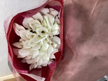 キャプテンベンチュラ ！カラーの還暦祝花束！|「松庄花壇」　（茨城県土浦市の花屋）のブログ